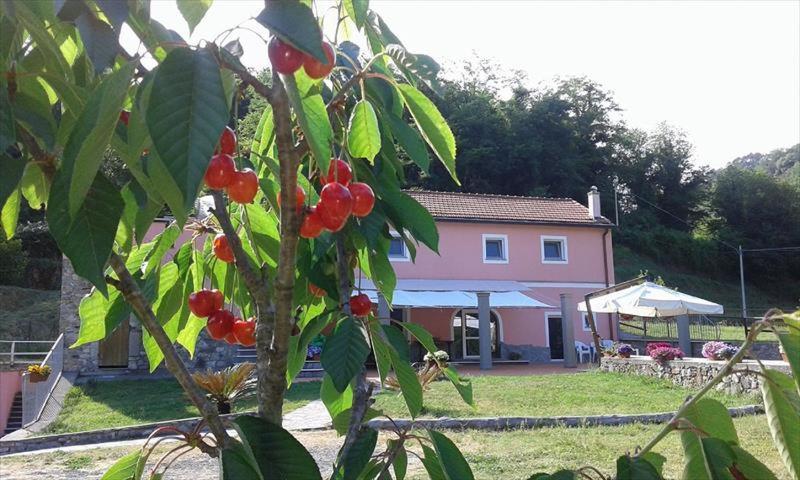 B&B La Casina Rosa La Spezia Valeriano Lunense Εξωτερικό φωτογραφία