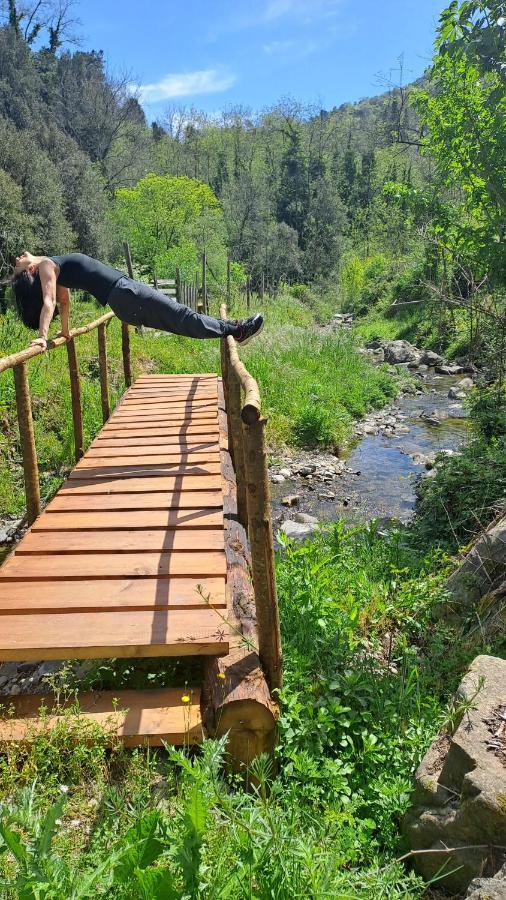 B&B La Casina Rosa La Spezia Valeriano Lunense Εξωτερικό φωτογραφία